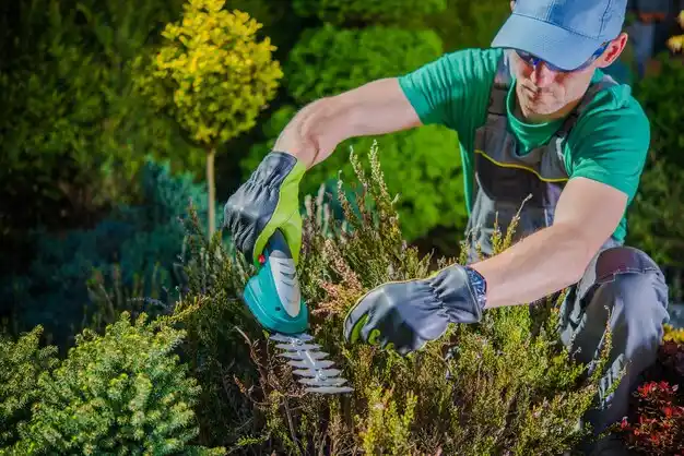 landscaping services Brighton